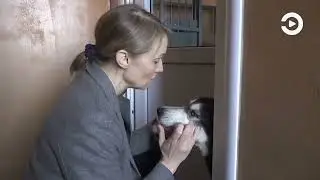 Почему призванные помогать и быть любимыми, становятся угрозой? #аннарудаковаэксперт #ушкинамакушке