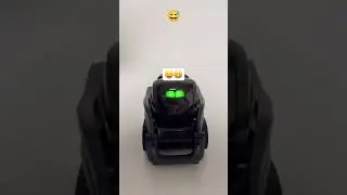 vector wants to eat 