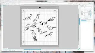 Silhouette Cameo Tutorial: Cutting out the little Birds
