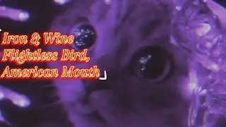 Iron & Wine - Flightless Bird, American Mouth (Lyric)