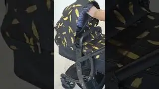 Коляска Dalux 2в1