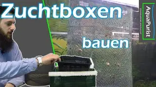 Net boxes for breeding ornamental fish