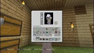 Playing   Minecraft mining