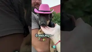 Просто у Риты розовой шляпки не было😍  