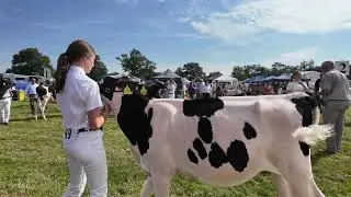 Nantwich Show 2024 | Cattle | Sheep | Horses | Racing Pigeons