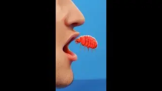 You eats this bug everyday!