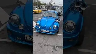 Жук #beetle