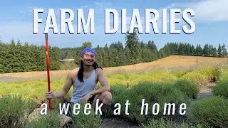 FARM DIARIES 🪻 | A Week At Home