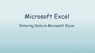 Entering Data in Microsoft Excel