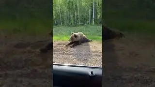 Как доехать до Уфы