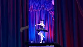 Russian Ballet, Swan Lake, Odile and Siegfried, grand jete en tournant