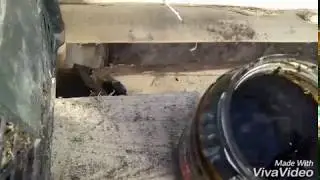 Болезни овощей как лечить