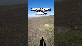 Ground squirrels cause huge amounts of damage to the landscape. Undermining hillsides & berms! #hunt