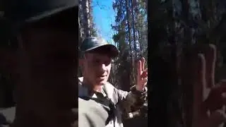 Строим Избу в тйге!! Первый окладной венец! Рыбалка на сети!