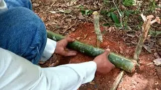 lam hlwb create amazing bamboo trap to catch squirrels in the forest like no other