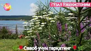 Номаҳрам ва маҳрам ҳақида отинойи марузалари. @otinoyilar8551