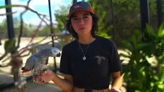 Maya talks about the upcoming Halloween event at Alveus