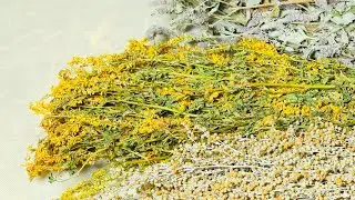 Урок 20. Запахи и Ароматы в Бане