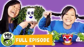 Mega Wow | Giving Plants A New Hairstyle! | PBS KIDS