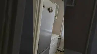 Двухкомнатная квартира на Стачки в аренду