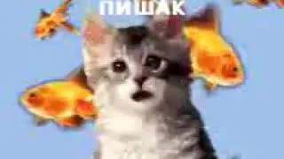 ЯК КИСАИ ЗАНИ ЧАНЧОЛИ БО МАРДИ ЗАНГИР