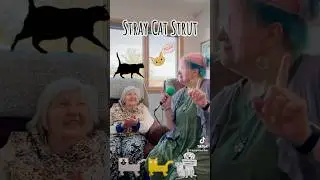 Stray Cat Strut