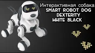 Обзор интерактивной собаки SMART ROBOT DOG