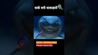 Shark bani shakahari🦈