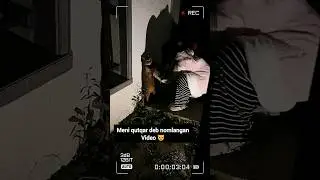 Kimni Rahmi Keladi ❓😢