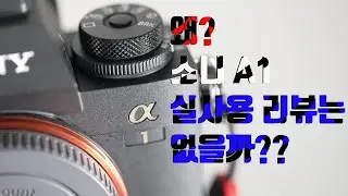 소니 A1 한 달 사용 후 솔직한 썰 [ Sony Alpha 1 내돈내산 리뷰 ]