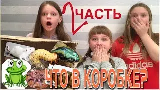 КАЖЕТСЯ НАЩУПАЛ 2.0 2 ЧАСТЬ|| ЧТО В КОРОБКЕ?
