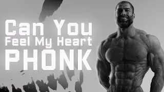 Gigachad - Can You Feel My Heart PHONK REMIX by MC DJ ILUHA
