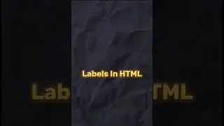 Day 11 : What is Input type radio button in HTML Code.