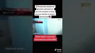 ZApal.     UZBEK  FOXISHALARI 2020 YIL