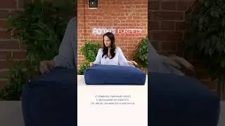 Обзор идеальной лежанки для питомца