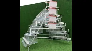 Chicken farm2