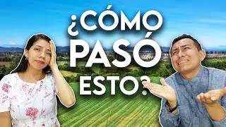 Our family LOST all their LAND ! How this Happened?? - Yucatán