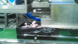 Newtec HBC-4M RPC Crate Filling - Potatoes