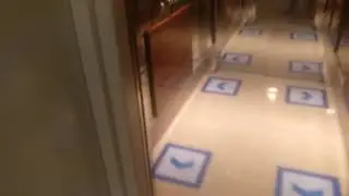 Otis 2 Door Elevator At Hotel Kempinski Jakarta