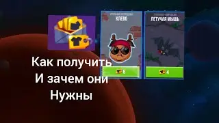 зачем нужны и как получить? Bullet echo