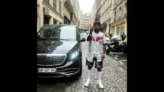 Westside Gunn Type Beat - “Paris”
