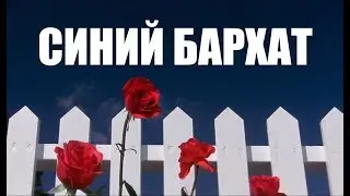 КИНО 