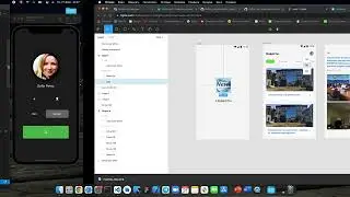 Flutter News APP