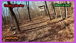 Tracking The Doe That I Shot Yesterday