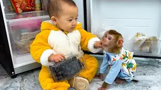 Cute duo baby Diem and monkey Kaka break into the refrigerator