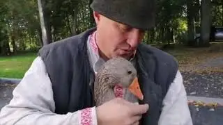Гусь в Копорье