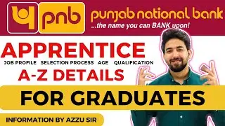 PNB Apprentice Recruitment 2024 |Posts : 2,700 | Male & Female | Apply Online