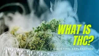 What is THC? (Science Explained)