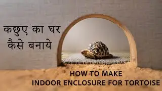 कछुए का घर कैसे बनाये | Indian Star Tortoise Home Setup | Tortoise indoor enclosure