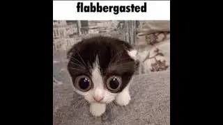 guh